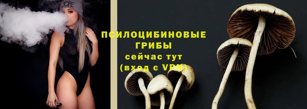 apvp Пестово