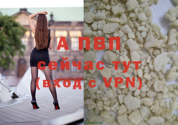 ПСИЛОЦИБИНОВЫЕ ГРИБЫ Пересвет