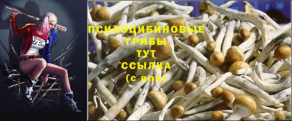 гидропоника Переславль-Залесский