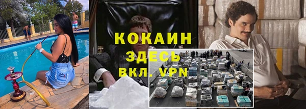 ПСИЛОЦИБИНОВЫЕ ГРИБЫ Пересвет