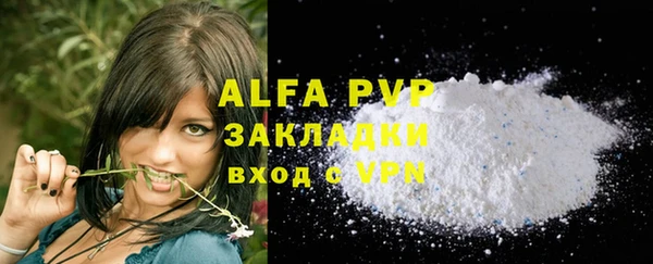 ПСИЛОЦИБИНОВЫЕ ГРИБЫ Пересвет