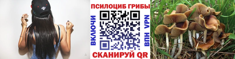 Галлюциногенные грибы мицелий  что такое наркотик  Тбилисская 